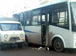 В Воронеже «головастик» не успел отпрыгнуть от маршрутки В Воронеже «головастик» не успел отпрыгнуть от маршрутки