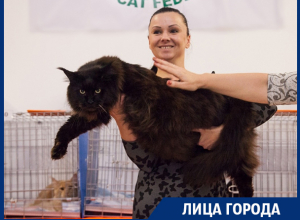 Секреты элитных кошек рассказала знаменитая воронежская заводчица Секреты элитных кошек рассказала знаменитая воронежская заводчица