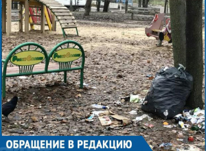Хочется пристыдить власти за помойку на детской площадке! – жительница Воронежа Хочется пристыдить власти за помойку на детской площадке! – жительница Воронежа