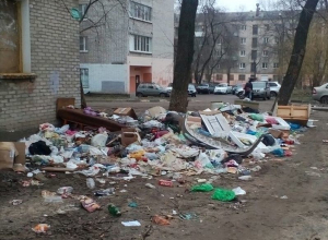 На левом берегу Воронежа люди встретят Рождество среди тонны помоев На левом берегу Воронежа люди встретят Рождество среди тонны помоев