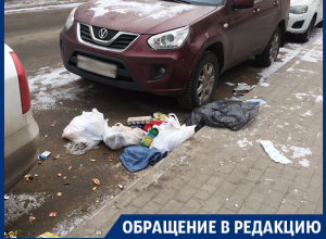 Любимое место молодоженов в Воронеже превращают в помойку Любимое место молодоженов в Воронеже превращают в помойку