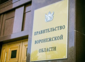В 2016 году к губернатору Воронежской области обращались, в основном, пенсионерки и инвалиды В 2016 году к губернатору Воронежской области обращались, в основном, пенсионерки и инвалиды
