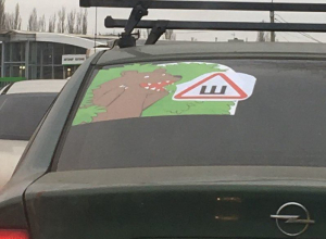 Автомобилист одной наклейкой оскорбил всех женщин Воронежа Автомобилист одной наклейкой оскорбил всех женщин Воронежа