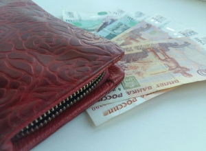 Девушку из Воронежской области будут судить за найденный кошелек Девушку из Воронежской области будут судить за найденный кошелек