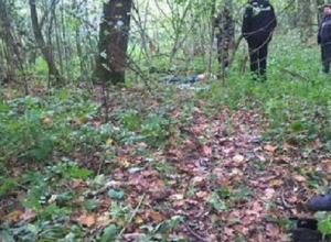 Тело убитой 14-летней девочки нашли в лесу в Воронежской области Тело убитой 14-летней девочки нашли в лесу в Воронежской области