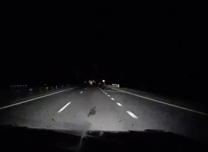 На трассе М4 «Дон» под Воронежем «Вольво» переехала мужчину На трассе М4 «Дон» под Воронежем «Вольво» переехала мужчину