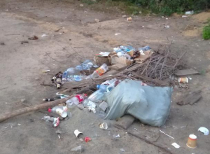 В лесу обнаружили последствия грязного отдыха воронежцев В лесу обнаружили последствия грязного отдыха воронежцев