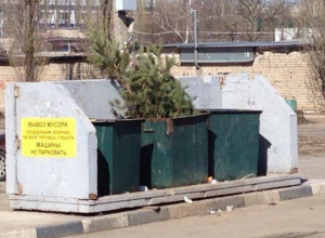 Поступок слабовольного воронежца показали на фото Поступок слабовольного воронежца показали на фото