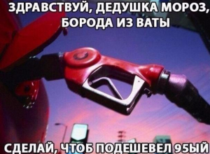 Воронежцы просят Дедушку Мороза, «чтоб подешевел 95-й» Воронежцы просят Дедушку Мороза, «чтоб подешевел 95-й»