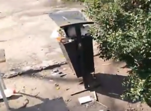 Соседство свинства и детской площадки показали на видео в Воронеже Соседство свинства и детской площадки показали на видео в Воронеже