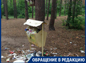 Свинством ответили в Воронеже на благодарность за чистоту Свинством ответили в Воронеже на благодарность за чистоту