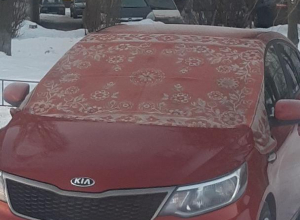 Колхозную автозащиту от мороза сфотографировали в Воронеже Колхозную автозащиту от мороза сфотографировали в Воронеже