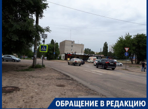 Не хочу стать калекой, – жительница Воронежа о единственной зебре Не хочу стать калекой, – жительница Воронежа о единственной зебре
