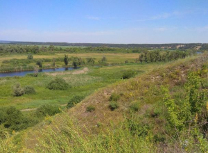 Скандальное озеро Круглое под Воронежем получило статус памятника природы Скандальное озеро Круглое под Воронежем получило статус памятника природы