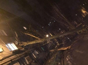 Ураган в Воронеже повалил деревья на детский сад, дома и машины Ураган в Воронеже повалил деревья на детский сад, дома и машины