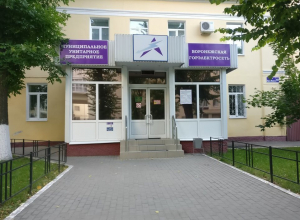 Акционирование «Воронежской горэлектросети» завершат в 2019 году Акционирование «Воронежской горэлектросети» завершат в 2019 году