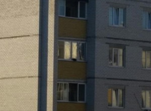 Экстремальный отдых кота на восьмом этаже попал на фото в Воронеже Экстремальный отдых кота на восьмом этаже попал на фото в Воронеже