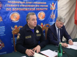 Глава МЧС России распорядился помочь каждому пострадавшему от паводка воронежцу Глава МЧС России распорядился помочь каждому пострадавшему от паводка воронежцу