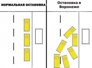 Идиотизм воронежских маршрутчиков у остановки показали на схеме Идиотизм воронежских маршрутчиков у остановки показали на схеме