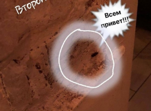 Модное кафе в центре Воронежа кишит тараканами Модное кафе в центре Воронежа кишит тараканами
