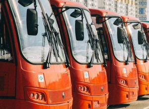 Воронежская область закупит оранжевые автобусы почти на 100 млн рублей Воронежская область закупит оранжевые автобусы почти на 100 млн рублей