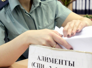 Воронежец подделал справки с работы, чтобы платить маленькие алименты Воронежец подделал справки с работы, чтобы платить маленькие алименты