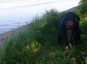 Человеческую ногу выловили из Воронежского водохранилища Человеческую ногу выловили из Воронежского водохранилища