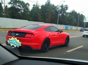 Стремительный Mustang заставил загрустить жителей Воронежа Стремительный Mustang заставил загрустить жителей Воронежа