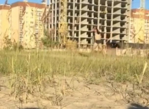 «Причиндалами» наружу напугал воронежец загорающих девушек «Причиндалами» наружу напугал воронежец загорающих девушек