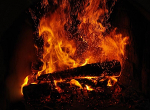 В Воронежском аэропорту развели костер из узбекского мяса В Воронежском аэропорту развели костер из узбекского мяса
