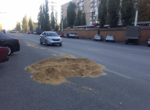 Огромный кошачий лоток посреди дороги сняли в Воронеже Огромный кошачий лоток посреди дороги сняли в Воронеже