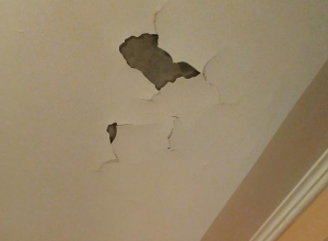 Месячные последствия ремонта от УК показали на фото в Воронеже Месячные последствия ремонта от УК показали на фото в Воронеже