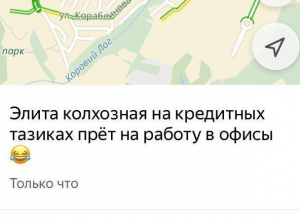 Воронежцы обвинили в пробках «колхозную элиту на кредитных тазиках» Воронежцы обвинили в пробках «колхозную элиту на кредитных тазиках»