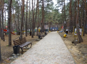 Воронежский парк «Дельфин» Антиликаторов отдаст частнику Воронежский парк «Дельфин» Антиликаторов отдаст частнику