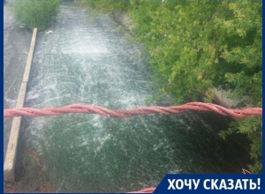 Нет водоема - нет проблем, - воронежец о спуске пруда Нет водоема - нет проблем, - воронежец о спуске пруда