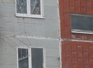 Воронежцы поглумились над старушками, ждущими, пока оттают лавочки Воронежцы поглумились над старушками, ждущими, пока оттают лавочки