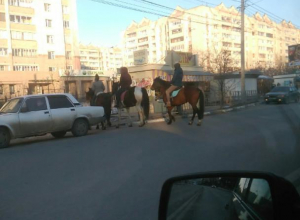 «Три богатыря» на лошадях привлекли внимание воронежцев «Три богатыря» на лошадях привлекли внимание воронежцев