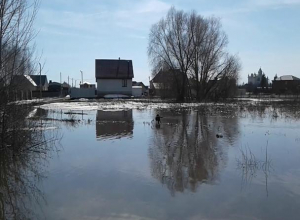 Тело пропавшего воронежца нашли в воде Тело пропавшего воронежца нашли в воде