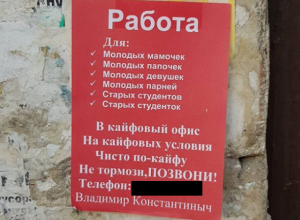 Объявление о кайфовой работе для мамочек развесили в Воронеже Объявление о кайфовой работе для мамочек развесили в Воронеже