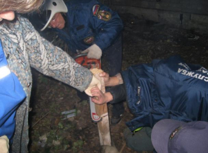В Воронеже спасатели бензопилой помогли мальчику с гвоздем в руке В Воронеже спасатели бензопилой помогли мальчику с гвоздем в руке