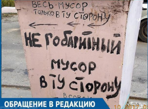 В воронежском дворе завелся маниакальный борец за порядок и чистоту В воронежском дворе завелся маниакальный борец за порядок и чистоту