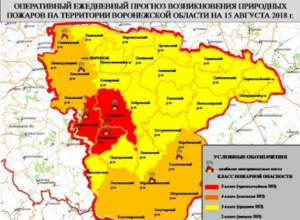 В Воронежской области объявлена чрезвычайная пожароопасность В Воронежской области объявлена чрезвычайная пожароопасность