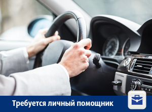 В Воронеже ищут личного помощника-водителя В Воронеже ищут личного помощника-водителя