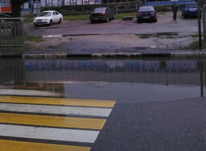 Воронежца высмеяли за жалобу на мокрую «зебру» Воронежца высмеяли за жалобу на мокрую «зебру»