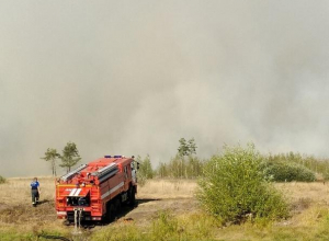 На окраине Воронежа разбушевался крупный ландшафтный пожар На окраине Воронежа разбушевался крупный ландшафтный пожар