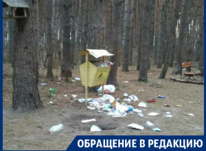 Воронежский особо охраняемый Северный лес превратился в помойку Воронежский особо охраняемый Северный лес превратился в помойку