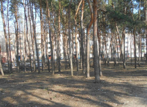 В Воронеже привели в порядок загаженный сквер на Молодогвардейцев В Воронеже привели в порядок загаженный сквер на Молодогвардейцев