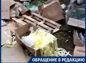 Воронежский лес превратился в мусорку с неприятным запахом ацетона Воронежский лес превратился в мусорку с неприятным запахом ацетона