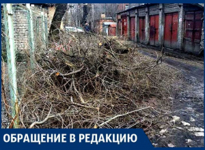 Из нашего двора коммунальщики сделали мусорку! – воронежцы с проспекта Труда Из нашего двора коммунальщики сделали мусорку! – воронежцы с проспекта Труда