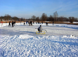 Юные архитекторы предложили залить каток в воронежском парке «Орлёнок» Юные архитекторы предложили залить каток в воронежском парке «Орлёнок»
